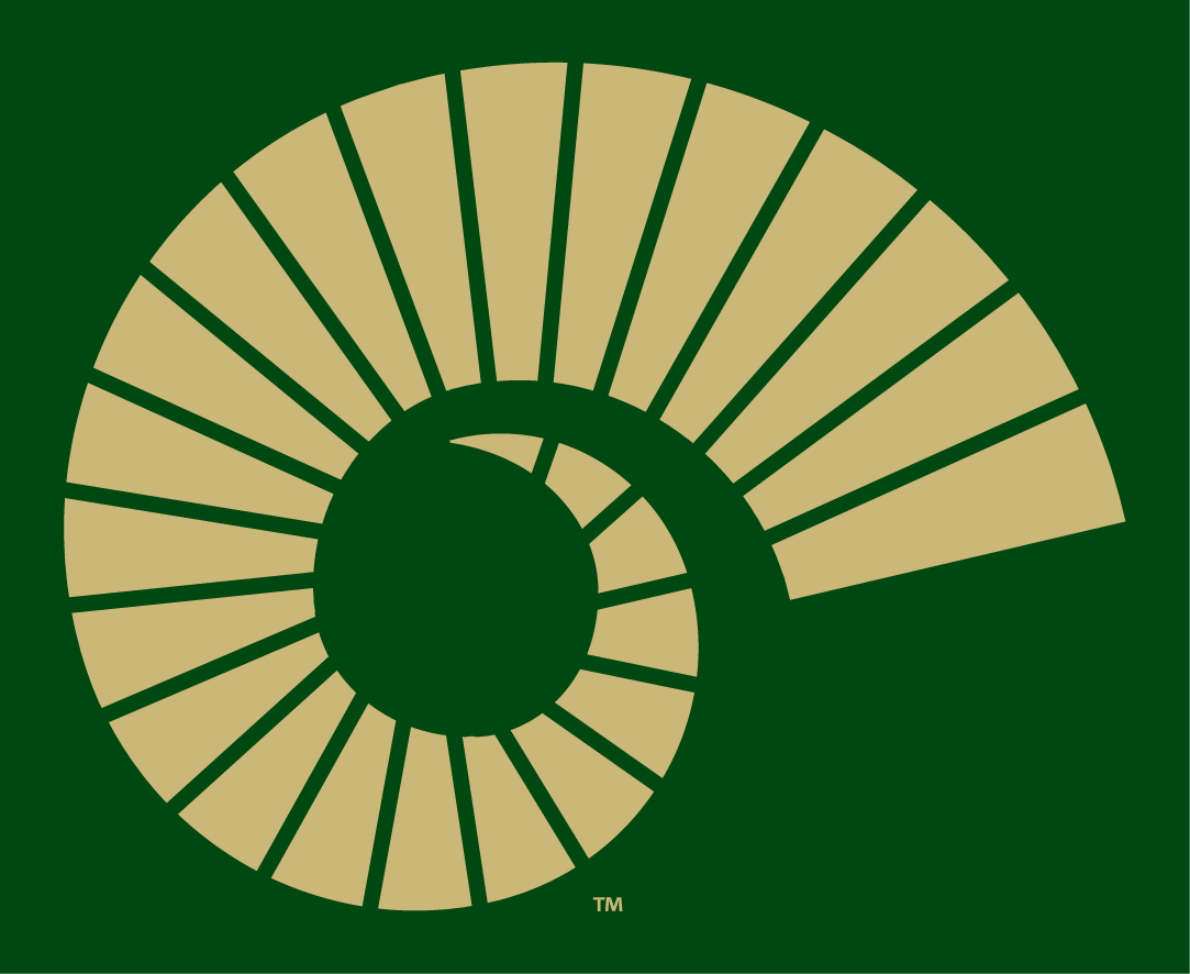 Colorado State Rams 2015-Pres Alternate Logo t shirts DIY iron ons v4
